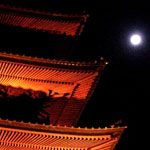 ライトアップされた本門寺の五重塔