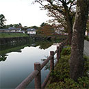 小田原城のお堀端。東京に出てからもたびたび小田原に戻った牧野。この道もいく度もたどったことだろう