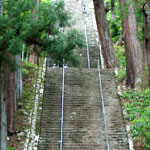身延山久遠寺で圧倒的な存在感を放つ菩提梯。この階段を上りきると華やかな堂塔が立ち並ぶ一角に出る