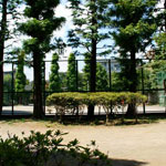 大森ホテルは現在の山王公園（山王三丁目 map→）あたりにあった。樹木は当時からのものか